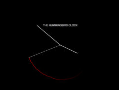 Hummingbird Clock, The