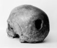 Glass Bead Site 1: Logic Gate, the Politics of the Artifactual Mind