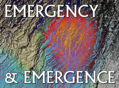 Emergency and Emergence