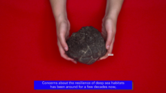 What is Deep Sea Mining? Episode 3: The Azores Case