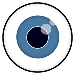 We See In Every Direction
